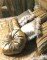 SKMBT_C22011070416040_0075.jpg